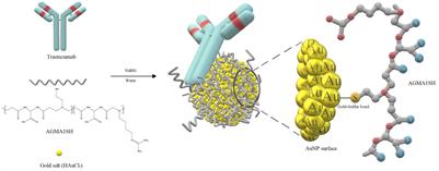 Extra-Small Gold Nanospheres Decorated With a Thiol Functionalized Biodegradable and Biocompatible Linear Polyamidoamine as Nanovectors of Anticancer Molecules